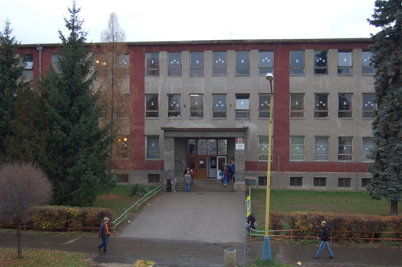 škola